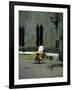 Coconut Seller Riding His Bicycle, Galle, Sri Lanka-Yadid Levy-Framed Photographic Print