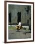 Coconut Seller Riding His Bicycle, Galle, Sri Lanka-Yadid Levy-Framed Photographic Print