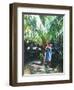 Coconut Shade, 2014-Colin Bootman-Framed Giclee Print