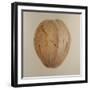 Coconut, Sri Lanka, 2010-Lincoln Seligman-Framed Giclee Print