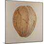 Coconut, Sri Lanka, 2010-Lincoln Seligman-Mounted Giclee Print