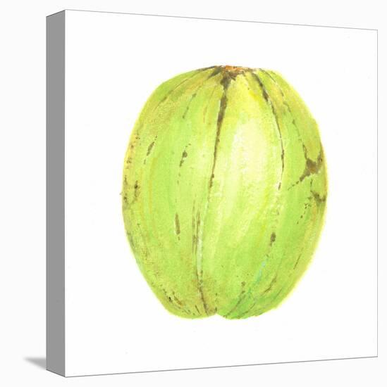 Coconut, Sri Lanka, 2015-Lincoln Seligman-Stretched Canvas