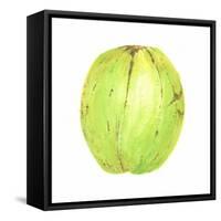 Coconut, Sri Lanka, 2015-Lincoln Seligman-Framed Stretched Canvas