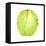 Coconut, Sri Lanka, 2015-Lincoln Seligman-Framed Stretched Canvas