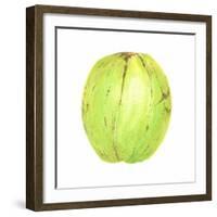 Coconut, Sri Lanka, 2015-Lincoln Seligman-Framed Giclee Print