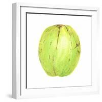 Coconut, Sri Lanka, 2015-Lincoln Seligman-Framed Giclee Print