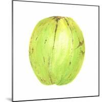 Coconut, Sri Lanka, 2015-Lincoln Seligman-Mounted Giclee Print