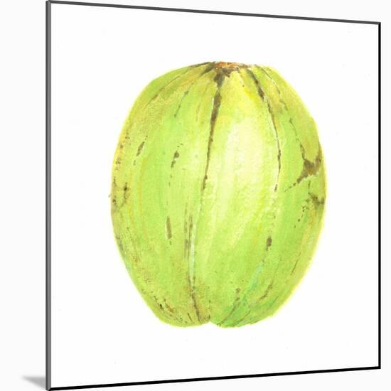 Coconut, Sri Lanka, 2015-Lincoln Seligman-Mounted Giclee Print