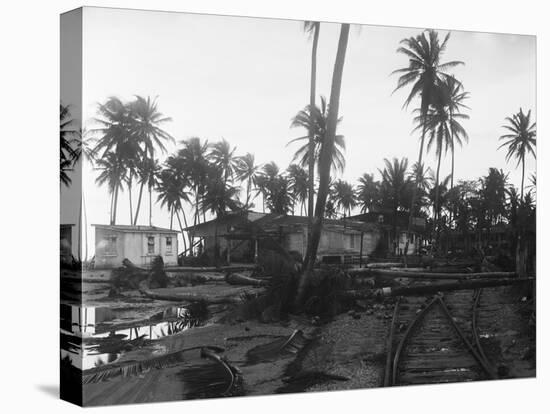 Coconut Trees Lying across Rr Tracks-null-Stretched Canvas