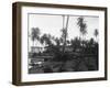 Coconut Trees Lying across Rr Tracks-null-Framed Photographic Print