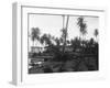 Coconut Trees Lying across Rr Tracks-null-Framed Photographic Print