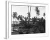Coconut Trees Lying across Rr Tracks-null-Framed Photographic Print