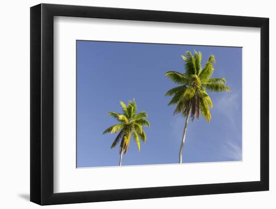 Coconut Trees, Plantation L'Union Estate, La Digue Island, the Seychelles-Rainer Mirau-Framed Photographic Print