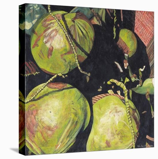 Coconuts, 2003-Pedro Diego Alvarado-Stretched Canvas