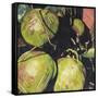 Coconuts, 2003-Pedro Diego Alvarado-Framed Stretched Canvas