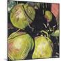 Coconuts, 2003-Pedro Diego Alvarado-Mounted Giclee Print