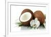 Coconuts with Leaves and Flower, Isolated on White-Yastremska-Framed Photographic Print