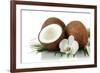 Coconuts with Leaves and Flower, Isolated on White-Yastremska-Framed Photographic Print