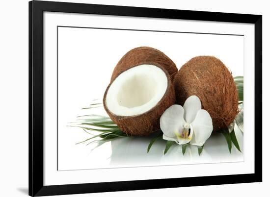 Coconuts with Leaves and Flower, Isolated on White-Yastremska-Framed Photographic Print