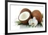 Coconuts with Leaves and Flower, Isolated on White-Yastremska-Framed Photographic Print