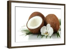 Coconuts with Leaves and Flower, Isolated on White-Yastremska-Framed Photographic Print