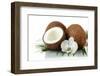 Coconuts with Leaves and Flower, Isolated on White-Yastremska-Framed Photographic Print