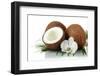 Coconuts with Leaves and Flower, Isolated on White-Yastremska-Framed Photographic Print