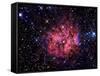 Cocoon Nebula-Stocktrek Images-Framed Stretched Canvas