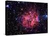 Cocoon Nebula-Stocktrek Images-Stretched Canvas