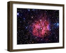 Cocoon Nebula-Stocktrek Images-Framed Photographic Print