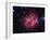 Cocoon Nebula-Stocktrek Images-Framed Photographic Print