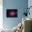 Cocoon Nebula-Stocktrek Images-Photographic Print displayed on a wall