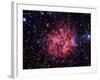 Cocoon Nebula-Stocktrek Images-Framed Photographic Print