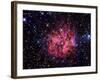 Cocoon Nebula-Stocktrek Images-Framed Photographic Print