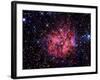 Cocoon Nebula-Stocktrek Images-Framed Photographic Print