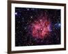 Cocoon Nebula-Stocktrek Images-Framed Photographic Print