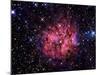 Cocoon Nebula-Stocktrek Images-Mounted Photographic Print