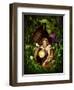 Cocoon-Atelier Sommerland-Framed Art Print