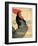 Cocorico, 1899-Theophile-Alexandre Steinlen-Framed Art Print