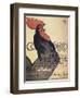 Cocorico, Poster, 1899-Theophile Alexandre Steinlen-Framed Giclee Print