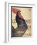 Cocorico, Poster, 1899-Theophile Alexandre Steinlen-Framed Giclee Print