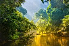 Amazing Scenic View Tropical Forest with Jungle River on Background Green Trees in the Morning Rays-Cocos Bounty-Framed Photographic Print