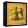 Cocos Locos I-Patricia Pinto-Framed Stretched Canvas