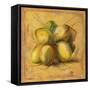 Cocos Locos I-Patricia Pinto-Framed Stretched Canvas