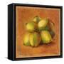 Cocos Locos II-Patricia Pinto-Framed Stretched Canvas