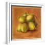 Cocos Locos II-Patricia Pinto-Framed Art Print