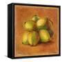 Cocos Locos II-Patricia Pinto-Framed Stretched Canvas