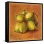 Cocos Locos II-Patricia Pinto-Framed Stretched Canvas