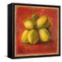 Cocos Locos III-Patricia Pinto-Framed Stretched Canvas