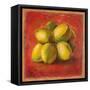 Cocos Locos III-Patricia Pinto-Framed Stretched Canvas